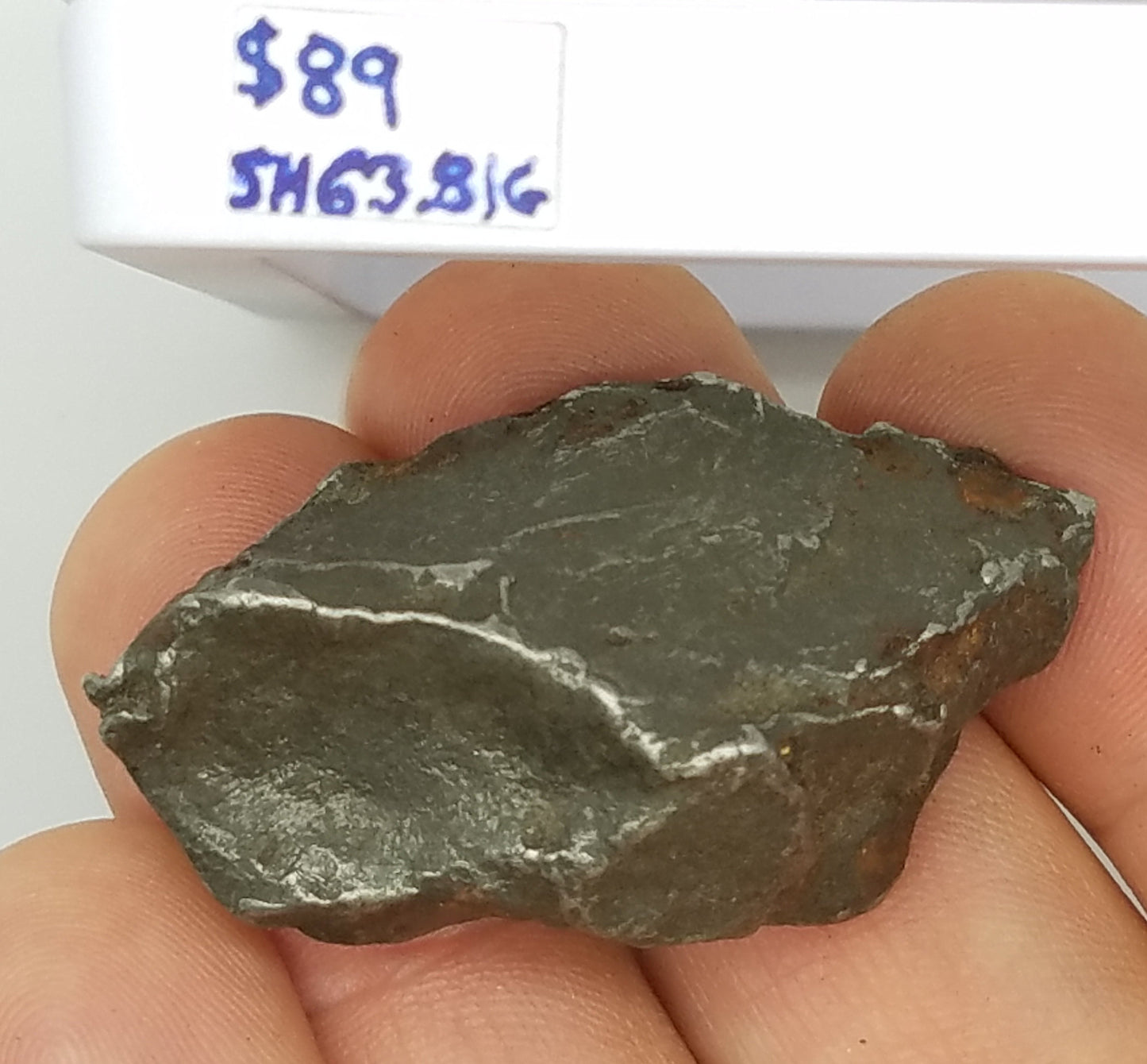 Cosmic SIKHOTE Meteorite Specimen | Sikhote-Alin | #SH6381