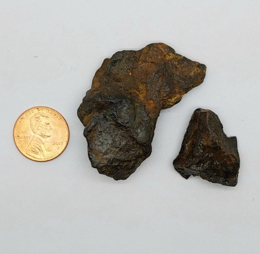 Meteorite Specimens 2 Piece Campo del Cielo | 36.4GR
