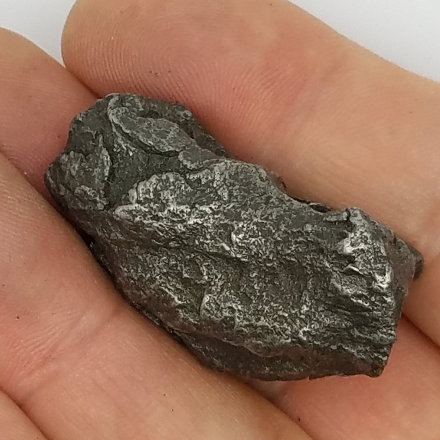 Protective SIKHOTE Meteorite Specimen | Sikhote-Alin | #SH7095