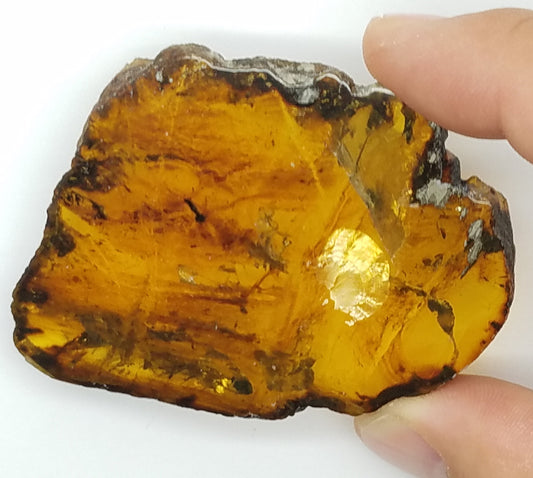 Superb AMBER Window Slice | Polished on 2 sides