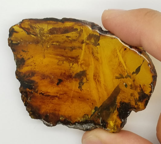 Superb AMBER Window Slice | Polished on 2 sides