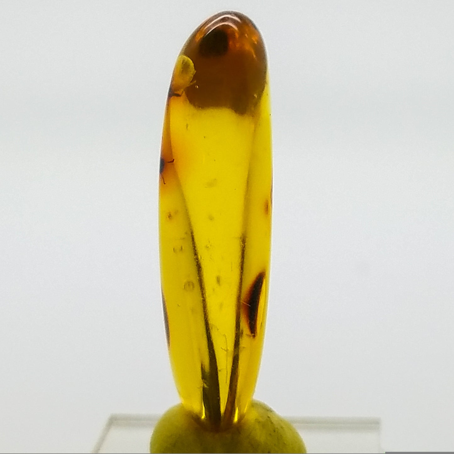 Superb AMBER with 3 Insect Inclusions | Colombia