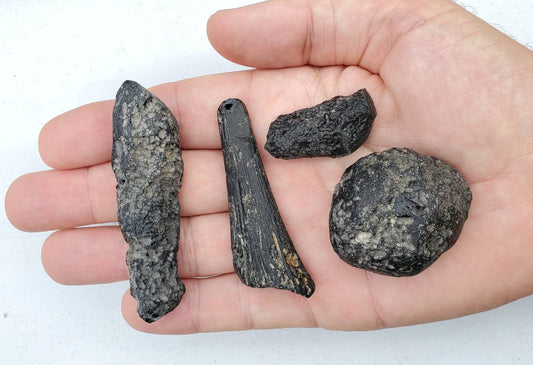 Black Tektite | 4Pc 4oz Selection | Lot #1