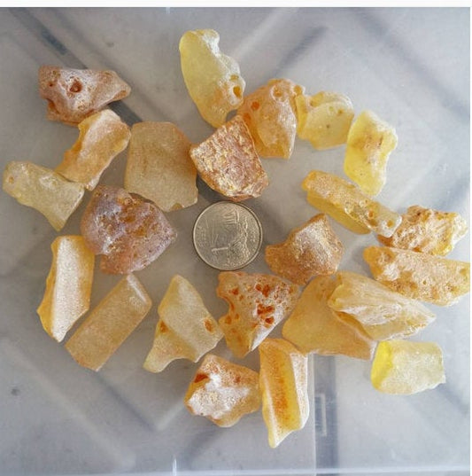 RAW AMBER 1/4 LB  | Metaphysical | Reiki | Cabbing | Polishing