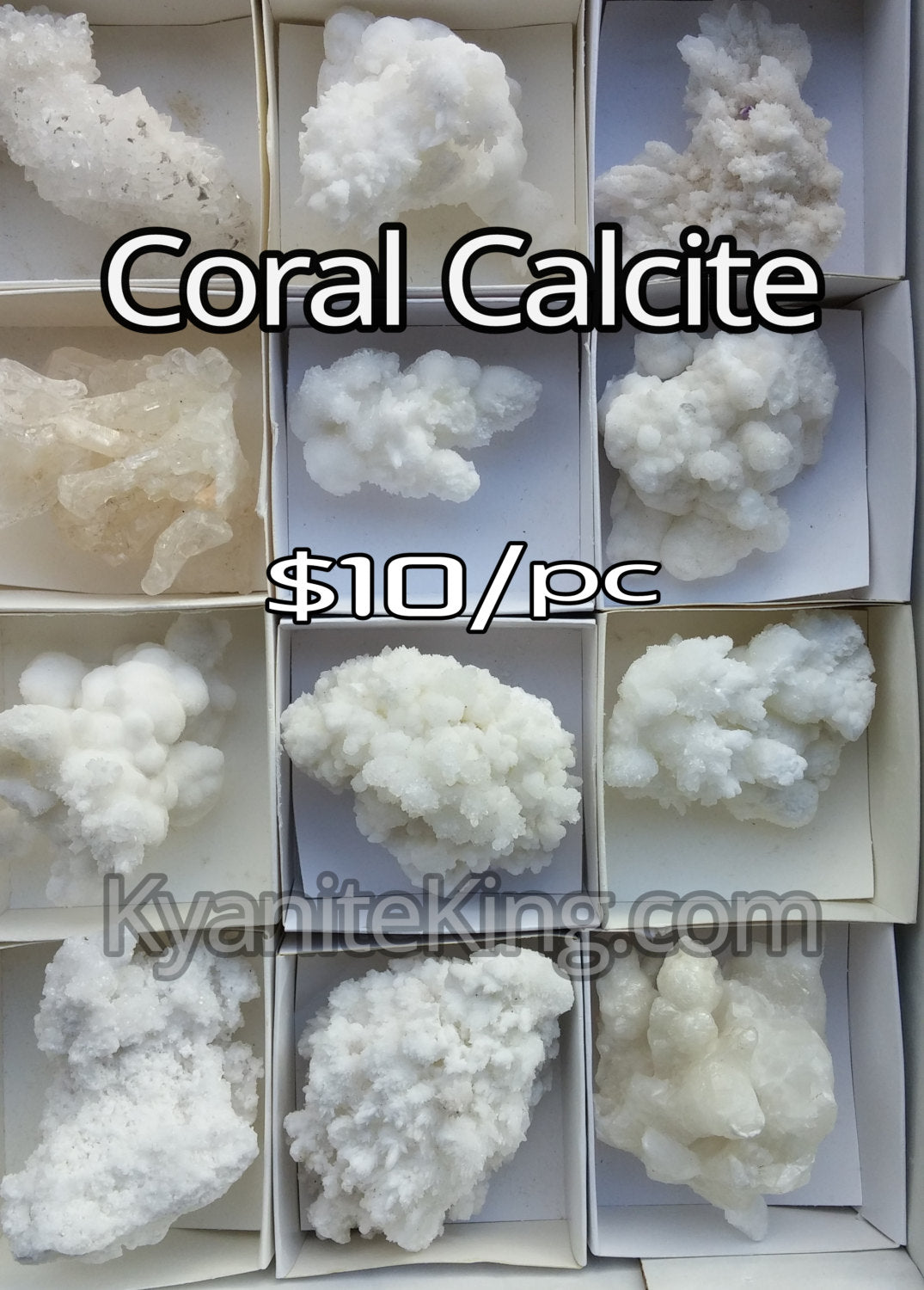 CORAL CALCITE *White Mineral specimens 1 Pc