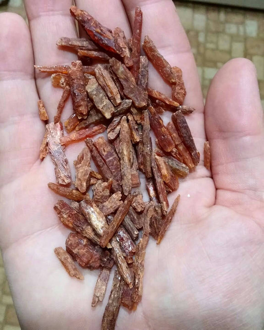 ORANGE KYANITE 1/4LB  | Natural Rough Specimens | Wholesale